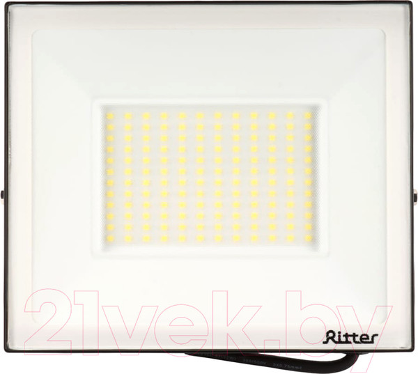 Изображение товара Прожектор REV Ritter Profi / 53410 9 (черный)