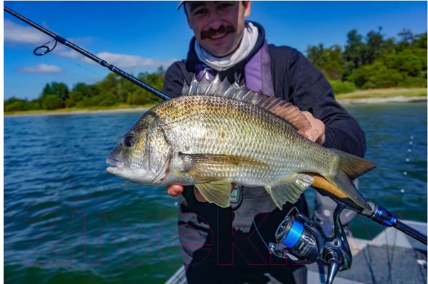 Изображение товара Катушка безынерционная Shimano Miravel 1000 / MIR1000