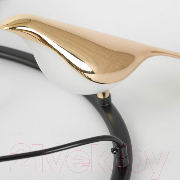 Изображение товара Люстра Lussole LSP-8641