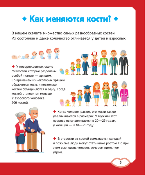 Изображение товара Энциклопедия АСТ Тело человека (2023) (Спектор Анна)