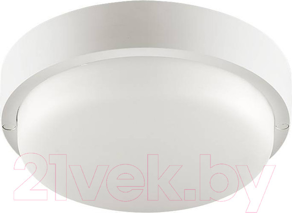 Изображение товара Светильник ЖКХ Wolta LCL04-8W-R01-4K
