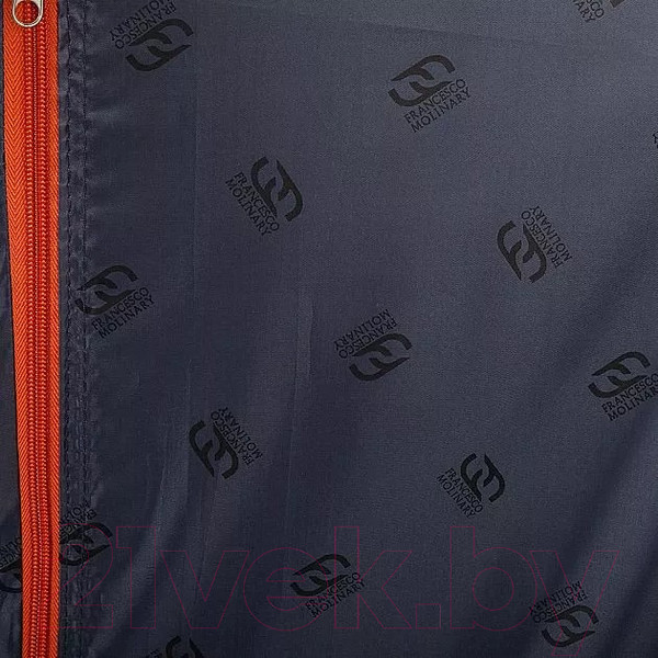 Изображение товара Чемодан на колесах Francesco Molinary 270-29111-3/16GOR (серый)