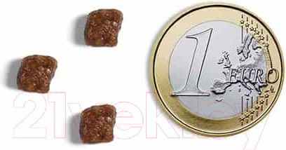 Изображение товара Сухой корм для кошек Ambrosia Grain Free для котят, индейка, курица / U/ACK1.5 (1.5кг)