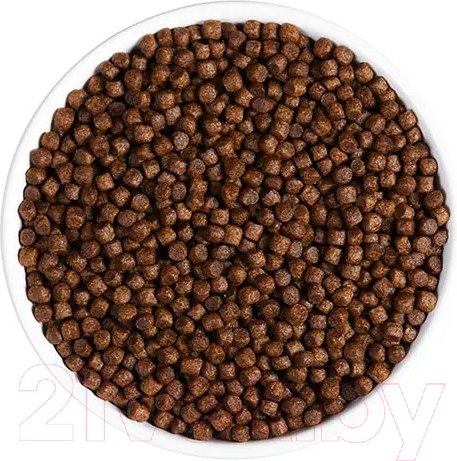 Изображение товара Сухой корм для кошек Ambrosia Grain Free для котят, индейка, курица / U/ACK1.5 (1.5кг)