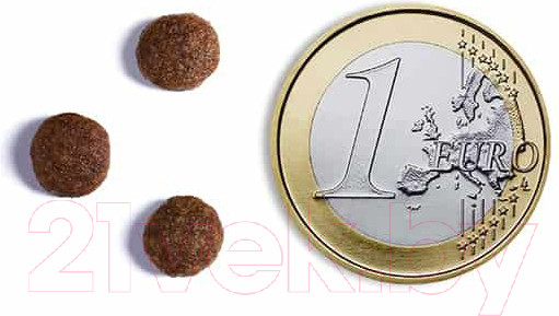 Изображение товара Сухой корм для кошек Ambrosia Grain Free для стерилизованных кошек, лосось, курица / U/ACSS5 (5кг)