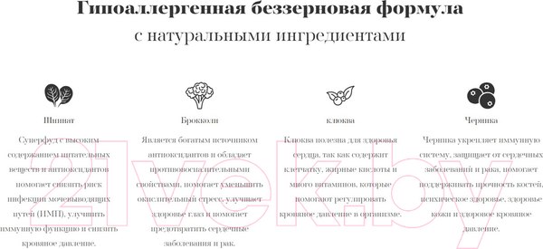 Изображение товара Сухой корм для собак Ambrosia Grain Free для мелких пород с лососем и курицей / U/ASC2 (2кг)