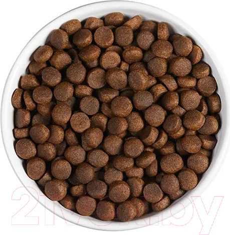 Изображение товара Сухой корм для собак Ambrosia Grain Free для пожилых с избыт. весом индейка и лосось / U/ATS2 (2кг)