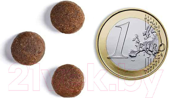 Изображение товара Сухой корм для собак Ambrosia Grain Free для пожилых с избыт. весом индейка и лосось / U/ATS2 (2кг)