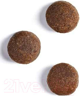 Изображение товара Сухой корм для собак Ambrosia Grain Free для всех пород с говядиной и лососем / U/ABS12 (12кг)