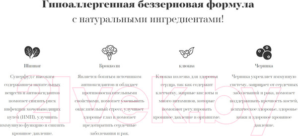 Изображение товара Сухой корм для собак Ambrosia Grain Free для всех пород говядина, лосось / U/ABS2 (2кг)