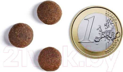 Изображение товара Сухой корм для собак Ambrosia Grain Free для всех пород с олениной и ягненком / U/AVL12 (12кг)