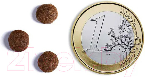 Изображение товара Сухой корм для собак Ambrosia Grain Free для мелких пород с лососем и кроликом / U/ASRM1.5 (1.5кг)