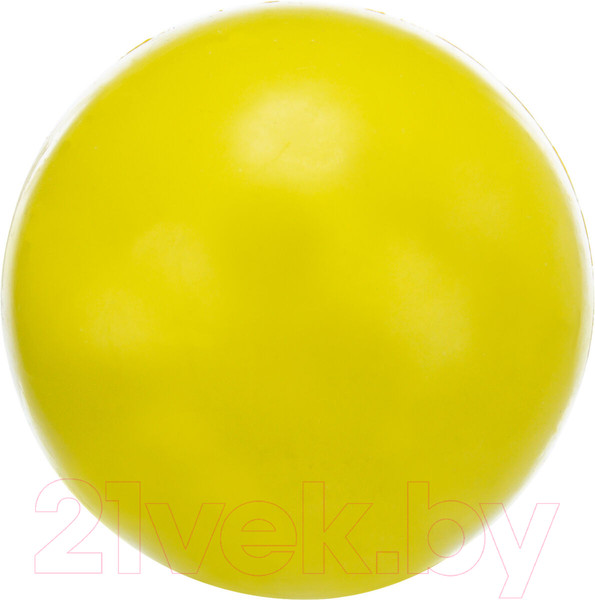 Изображение товара Игрушка для собак Trixie Мяч 3329