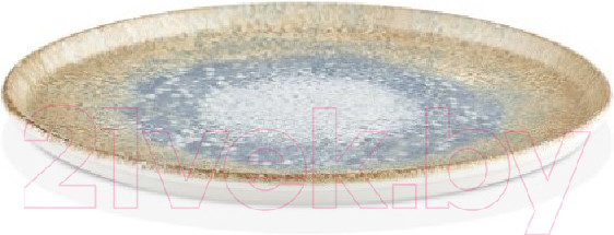 Изображение товара Тарелка столовая обеденная By Bone SM-RT-28-DZ