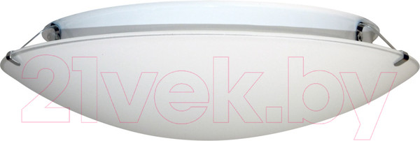 Изображение товара Потолочный светильник Элетех Этруска 300 НПБ 01-2x60-139 М16 / 1005206096 (матовый белый/металлик)