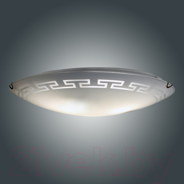 Изображение товара Потолочный светильник Элетех Этруска 400 НПБ 06-3х60 М65 / 1005206098 (матовый белый/хром)