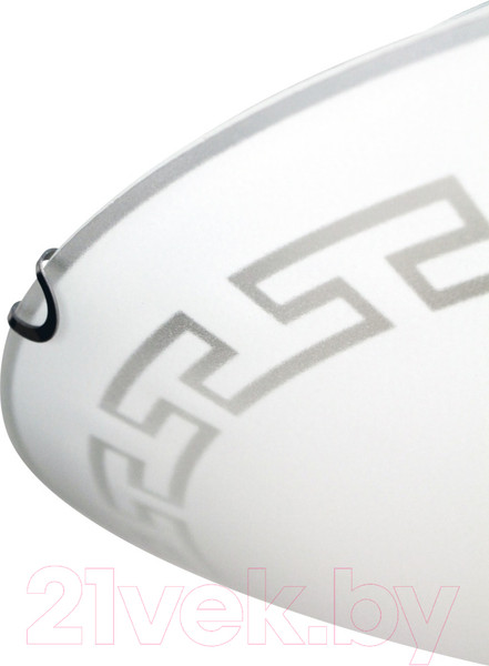 Изображение товара Потолочный светильник Элетех Этруска 400 НПБ 06-3х60 М65 / 1005206098 (матовый белый/хром)