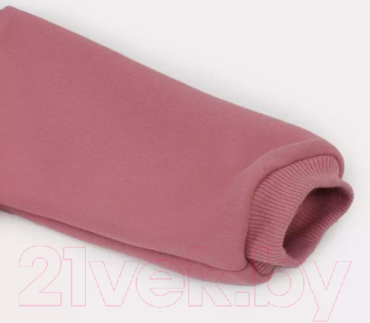 Изображение товара Комбинезон прогулочный детский Rant Rocky / 159-68 (Dusty Rose, р.68)