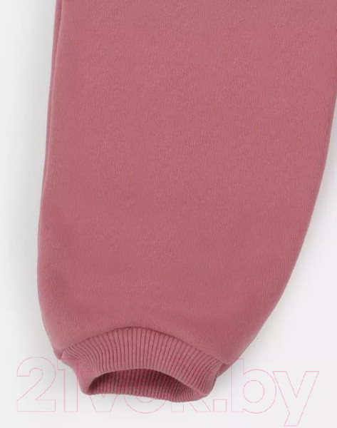 Изображение товара Комбинезон прогулочный детский Rant Rocky / 159-68 (Dusty Rose, р.68)