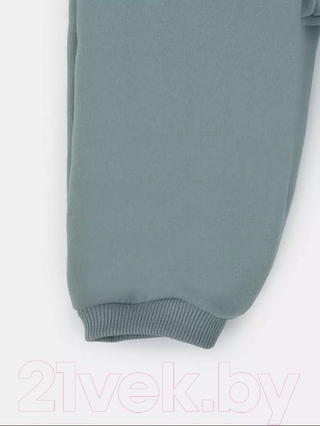 Изображение товара Комбинезон прогулочный детский Rant Rocky / 159-56 (Ocean Green, р.56)