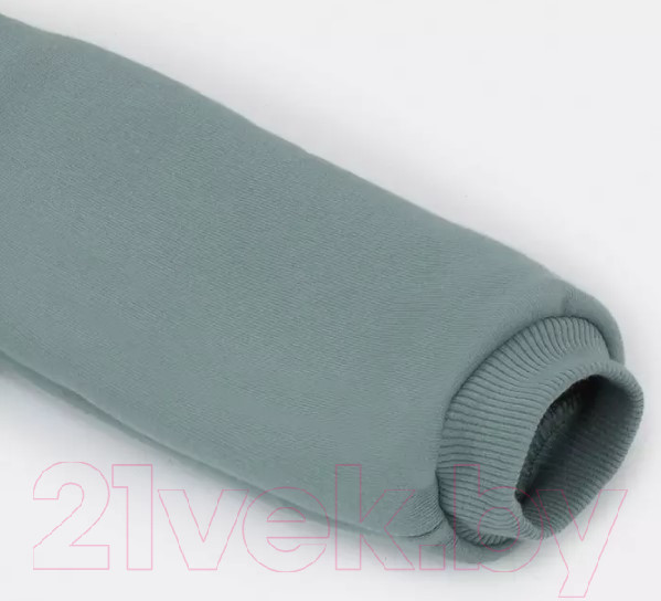 Изображение товара Комбинезон прогулочный детский Rant Rocky / 159-62 (Ocean Green, р.62)