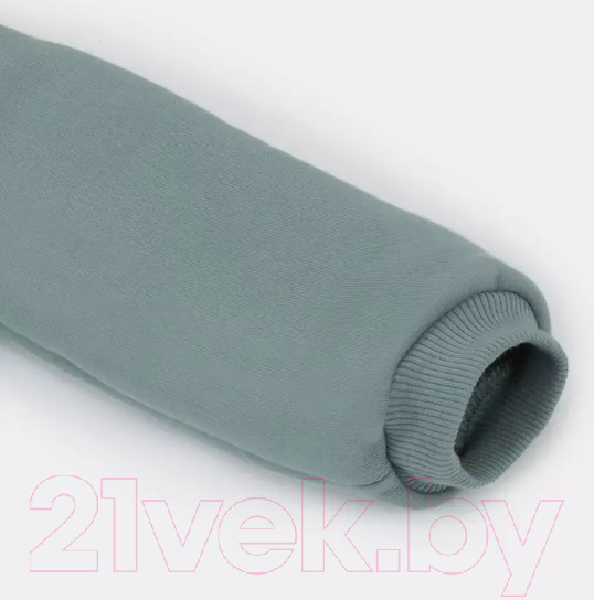 Изображение товара Комбинезон прогулочный детский Rant Rocky / 159-68 (Ocean Green, р.68)