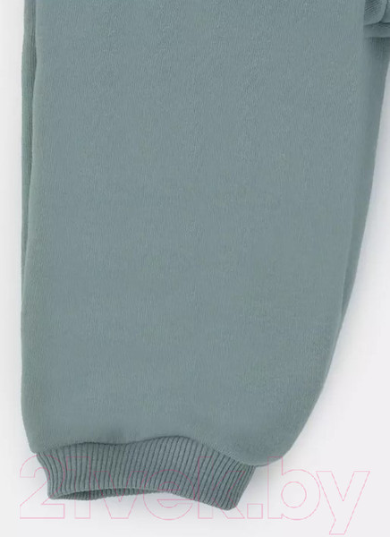 Изображение товара Комбинезон прогулочный детский Rant Rocky / 159-74 (Ocean Green, р.74)