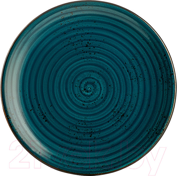 Изображение товара Тарелка столовая обеденная By Bone HA-TP-ZT-25-DZ