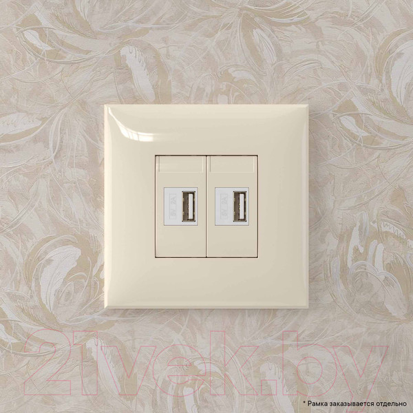Изображение товара Розетка DKC Avanti USB 4405543 (ванильная дымка)