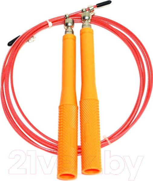 Изображение товара Скакалка ZEZ Sport CKA-8805