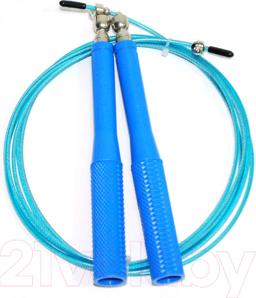 Изображение товара Скакалка ZEZ Sport CKA-8805