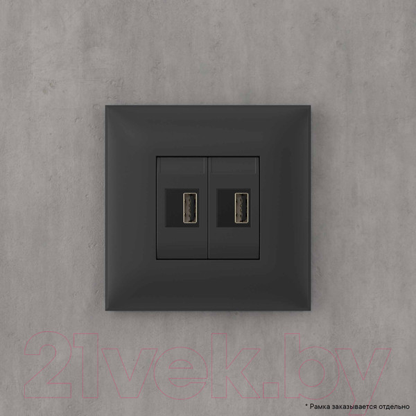 Изображение товара Розетка DKC Avanti USB 4412543 (черный матовый)