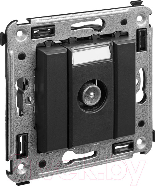 Изображение товара Розетка DKC Avanti / 4412513 (черный матовый)