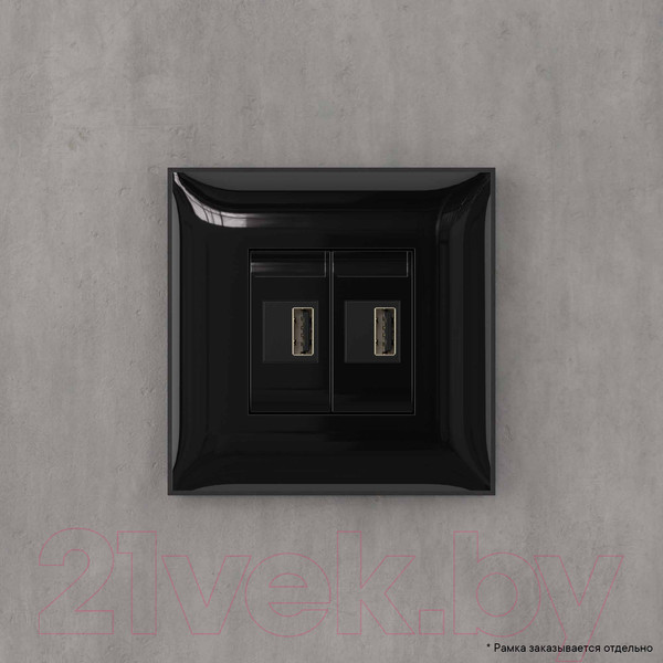 Изображение товара Розетка DKC Avanti USB / 4402543 (черный квадрат)