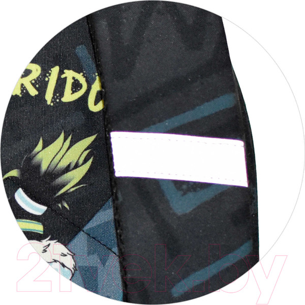 Изображение товара Школьный рюкзак Феникс+ Пингвин-сноубордист / 61258