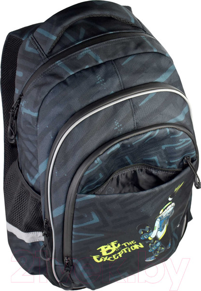 Изображение товара Школьный рюкзак Феникс+ Пингвин-сноубордист / 61258