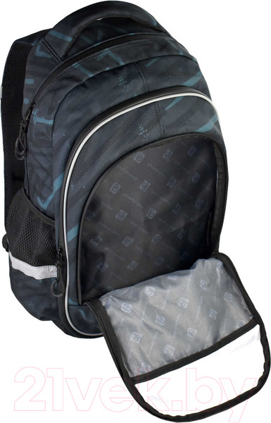 Изображение товара Школьный рюкзак Феникс+ Пингвин-сноубордист / 61258