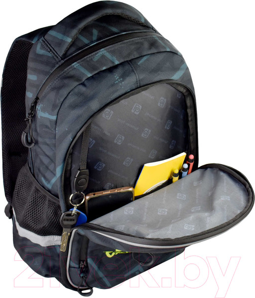 Изображение товара Школьный рюкзак Феникс+ Пингвин-сноубордист / 61258