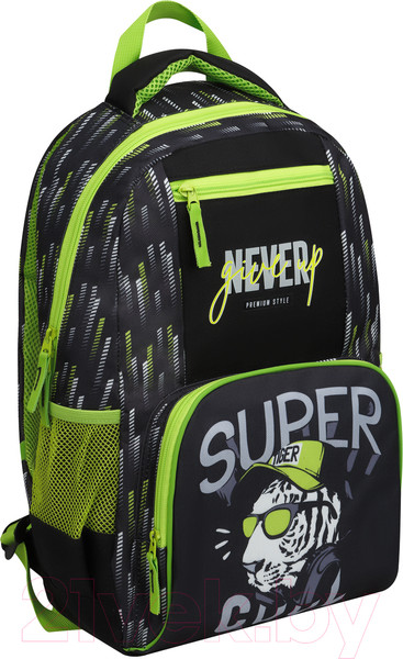 Изображение товара Школьный рюкзак ArtSpace School. Super / Uni_49236