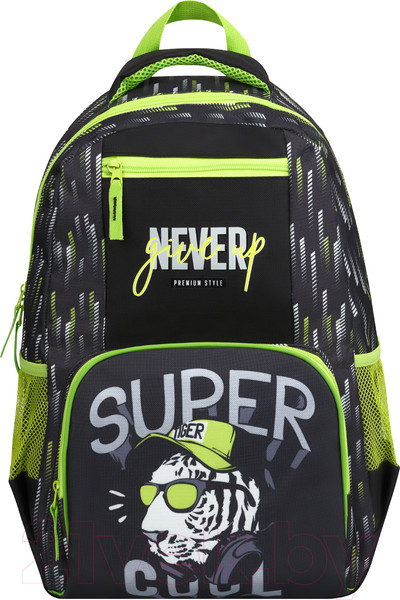 Изображение товара Школьный рюкзак ArtSpace School. Super / Uni_49236