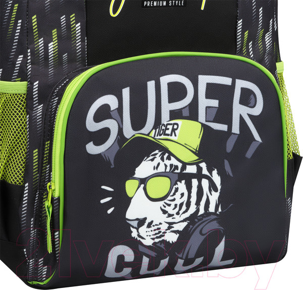 Изображение товара Школьный рюкзак ArtSpace School. Super / Uni_49236