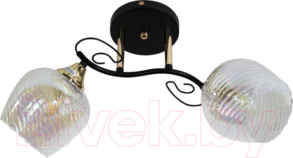 Изображение товара Потолочный светильник Элетех 21295-9/2 НПБ 01-2х60-135 Е27 / 1005404929