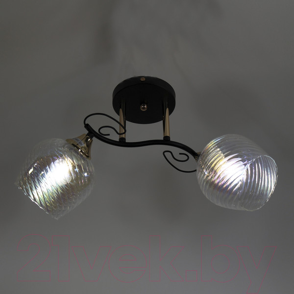 Изображение товара Потолочный светильник Элетех 21295-9/2 НПБ 01-2х60-135 Е27 / 1005404929