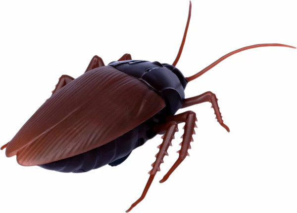 Изображение товара Радиоуправляемая игрушка Bondibon Таракан / ВВ5913