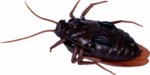 Изображение товара Радиоуправляемая игрушка Bondibon Таракан / ВВ5913