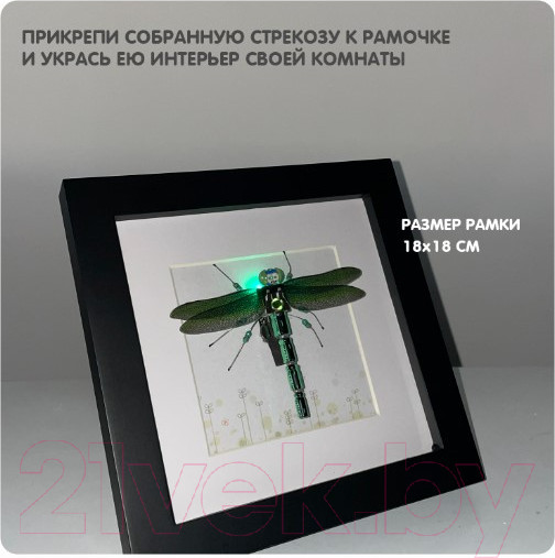 Изображение товара Набор для опытов Bondibon Кибер-стрекоза / ВВ5917