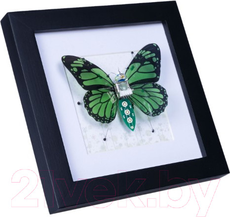 Изображение товара Набор для опытов Bondibon Кибер-бабочка / ВВ5916