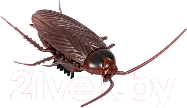 Изображение товара Игрушка детская Bondibon Таракан / ВВ5908