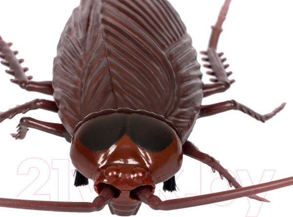 Изображение товара Игрушка детская Bondibon Таракан / ВВ5908