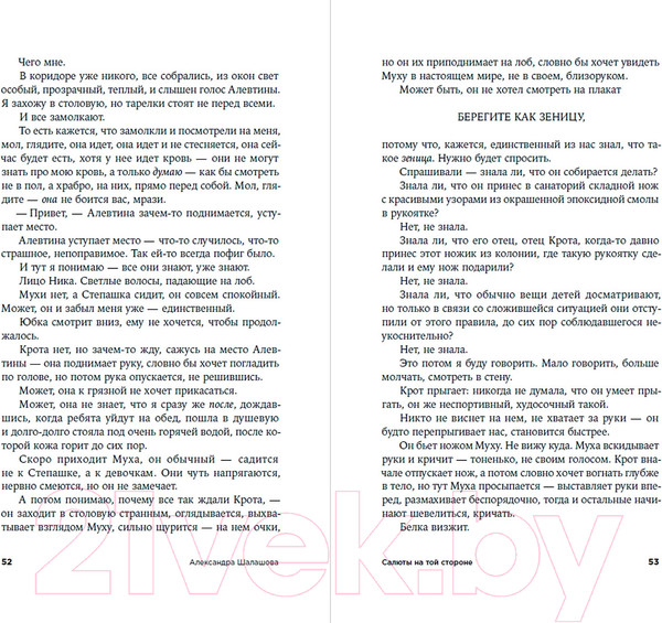 Изображение товара Книга Альпина Салюты на той стороне (Шалашова А.)